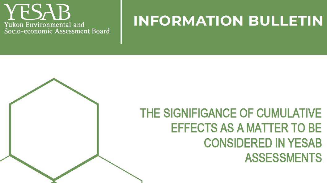 Cumulative Effects Information Bulletin Updated